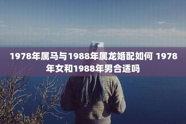 1978年属马与1988年属龙婚配如何 1978年女和1988年男合适吗