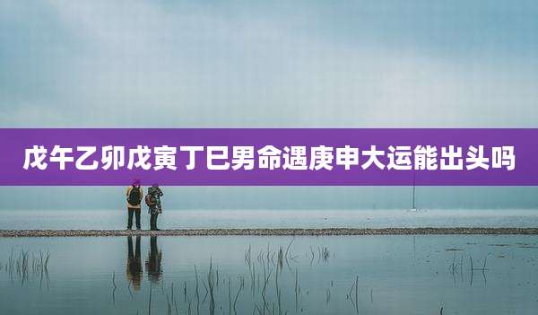 戊午乙卯戊寅丁巳男命遇庚申大运能出头吗
