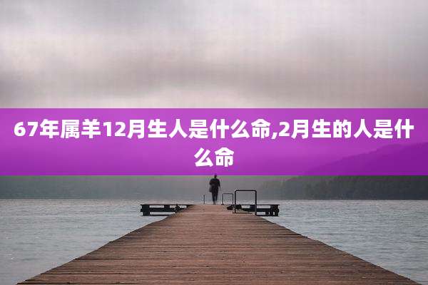 67年属羊12月生人是什么命,2月生的人是什么命