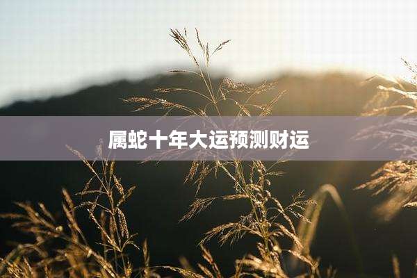 属蛇十年大运预测财运