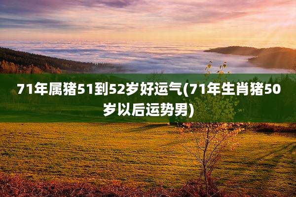 71年属猪51到52岁好运气(71年生肖猪50岁以后运势男)