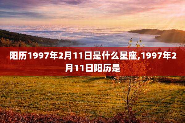 阳历1997年2月11日是什么星座,1997年2月11日阳历是