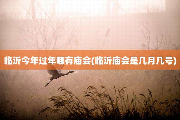临沂今年过年哪有庙会(临沂庙会是几月几号)
