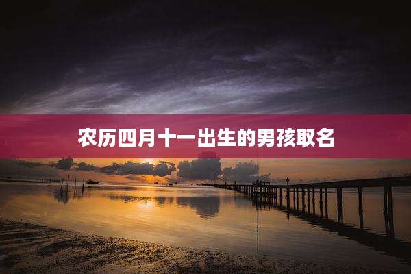 农历四月十一出生的男孩取名