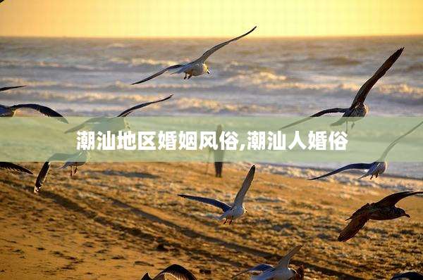 潮汕地区婚姻风俗,潮汕人婚俗