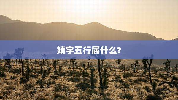 婧字五行属什么?