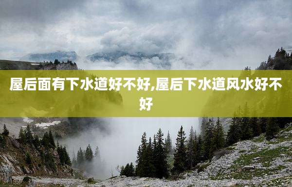 屋后面有下水道好不好,屋后下水道风水好不好
