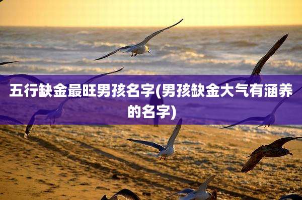 五行缺金最旺男孩名字(男孩缺金大气有涵养的名字)