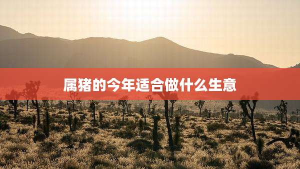 属猪的今年适合做什么生意