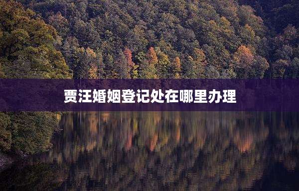 贾汪婚姻登记处在哪里办理