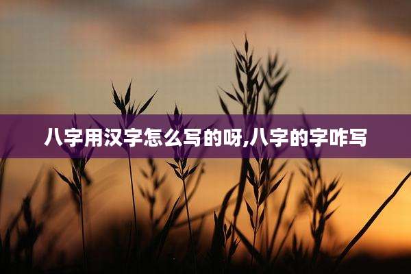 八字用汉字怎么写的呀,八字的字咋写