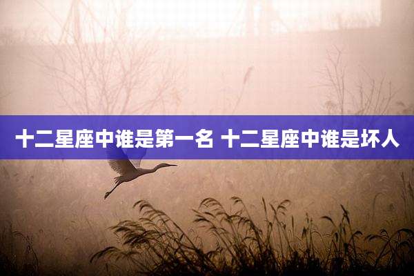 十二星座中谁是第一名 十二星座中谁是坏人