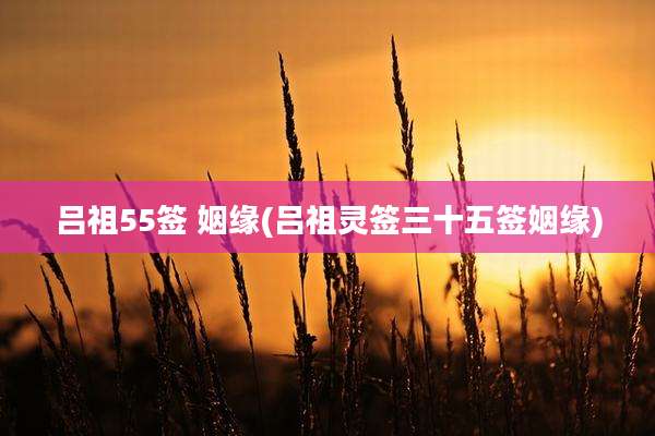 吕祖55签 姻缘(吕祖灵签三十五签姻缘)