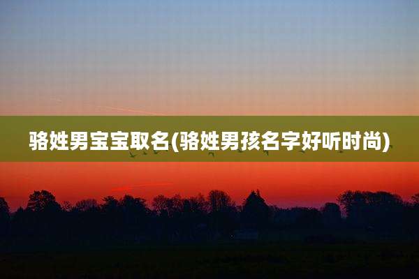 骆姓男宝宝取名(骆姓男孩名字好听时尚)