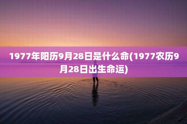 1977年阳历9月28日是什么命(1977农历9月28日出生命运)