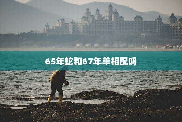 65年蛇和67年羊相配吗