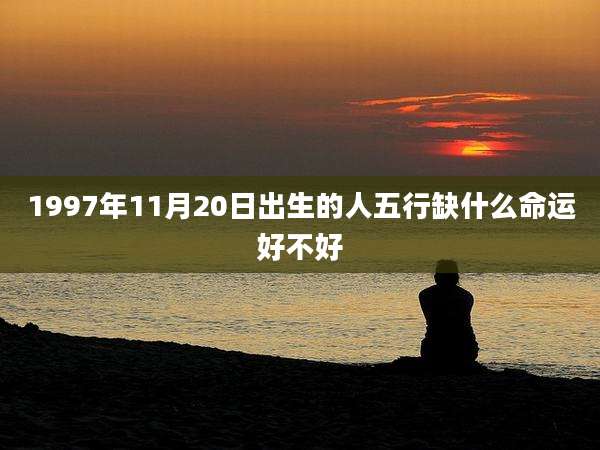 1997年11月20日出生的人五行缺什么命运好不好