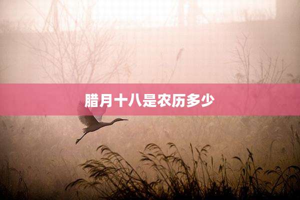 腊月十八是农历多少