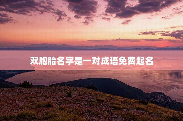 双胞胎名字是一对成语免费起名