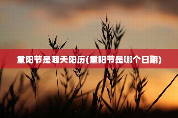 重阳节是哪天阳历(重阳节是哪个日期)