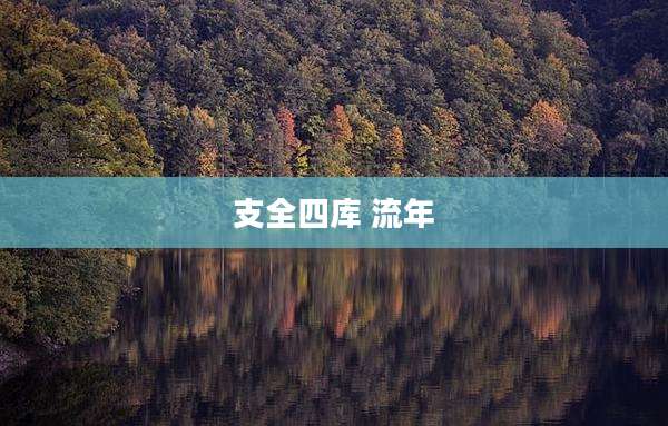 支全四库 流年