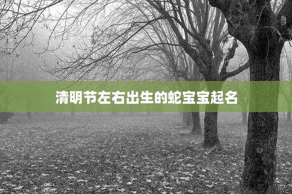 清明节左右出生的蛇宝宝起名