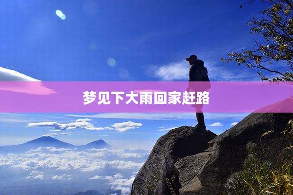 梦见下大雨回家赶路