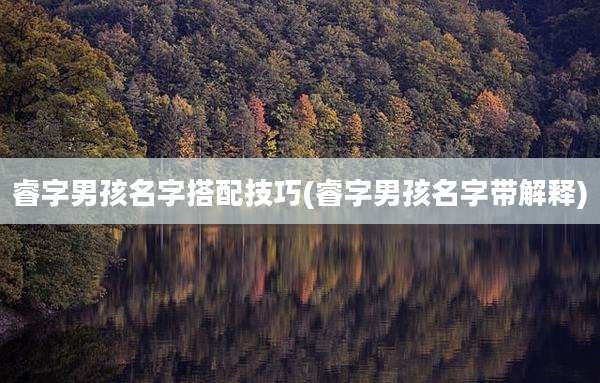睿字男孩名字搭配技巧(睿字男孩名字带解释)
