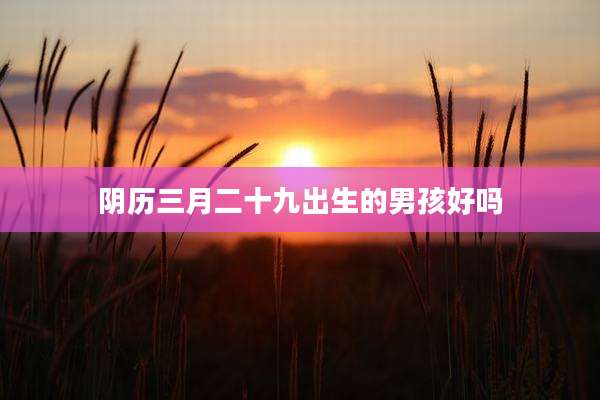 阴历三月二十九出生的男孩好吗