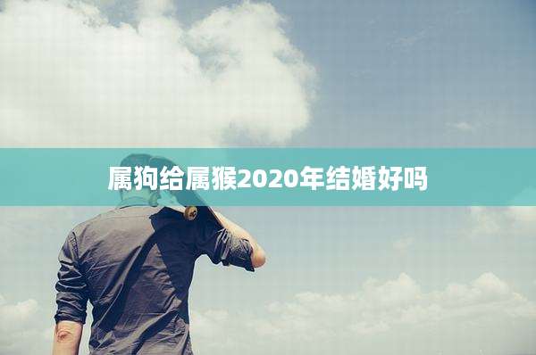 属狗给属猴2020年结婚好吗