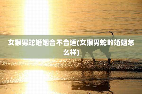 女猴男蛇婚姻合不合适(女猴男蛇的婚姻怎么样)