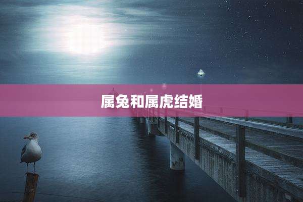 属兔和属虎结婚