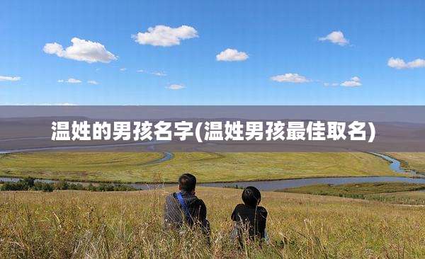 温姓的男孩名字(温姓男孩最佳取名)