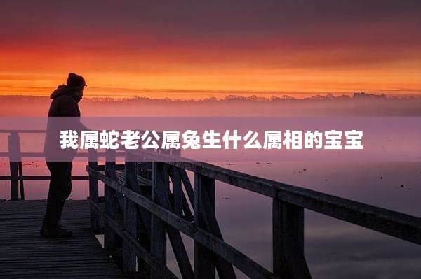 我属蛇老公属兔生什么属相的宝宝