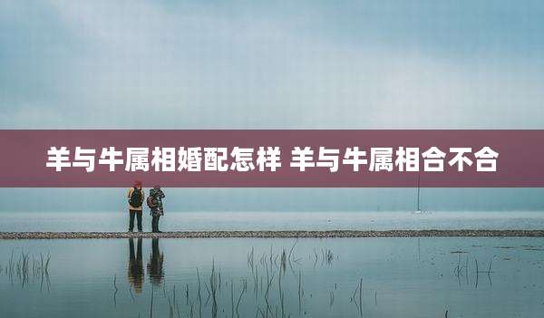 羊与牛属相婚配怎样 羊与牛属相合不合