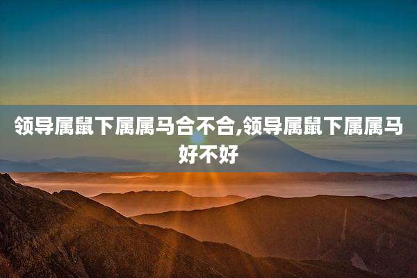 领导属鼠下属属马合不合,领导属鼠下属属马好不好