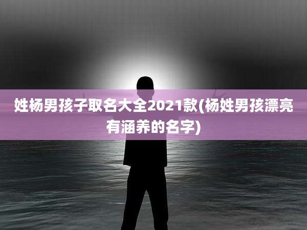 姓杨男孩子取名大全2021款(杨姓男孩漂亮有涵养的名字)