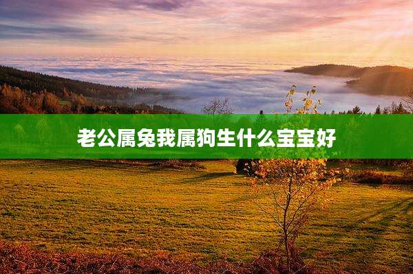老公属兔我属狗生什么宝宝好
