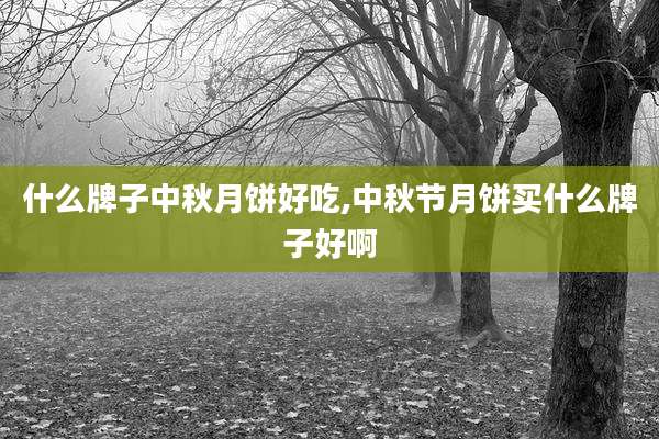 什么牌子中秋月饼好吃,中秋节月饼买什么牌子好啊