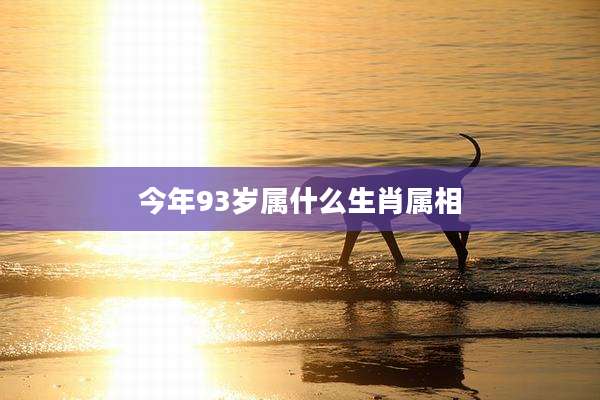 今年93岁属什么生肖属相