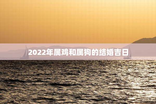 2022年属鸡和属狗的结婚吉日