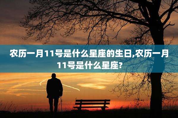 农历一月11号是什么星座的生日,农历一月11号是什么星座?