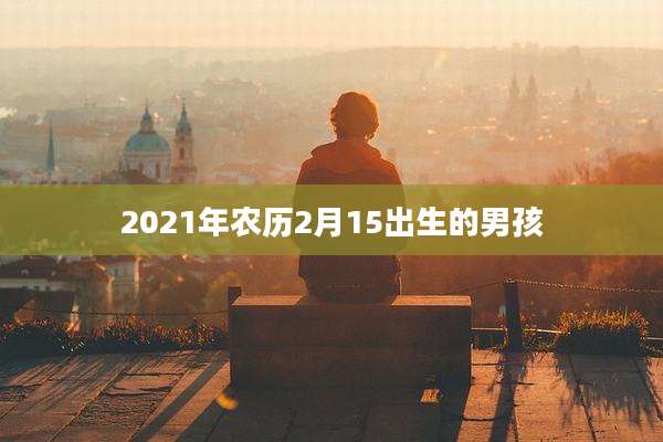 2021年农历2月15出生的男孩