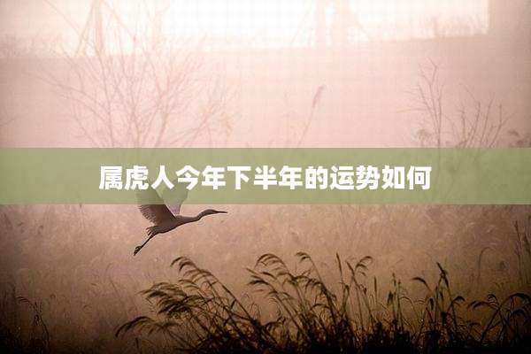 属虎人今年下半年的运势如何