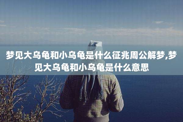 梦见大乌龟和小乌龟是什么征兆周公解梦,梦见大乌龟和小乌龟是什么意思