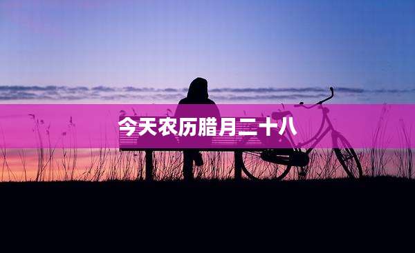 今天农历腊月二十八