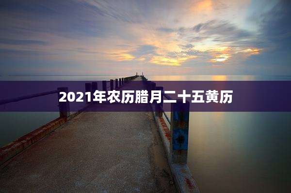 2021年农历腊月二十五黄历