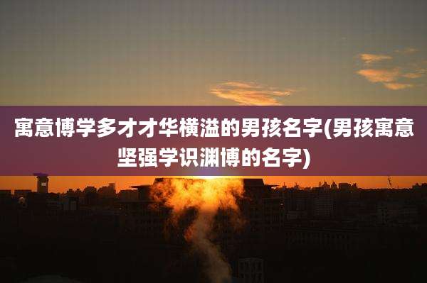 寓意博学多才才华横溢的男孩名字(男孩寓意坚强学识渊博的名字)