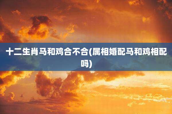 十二生肖马和鸡合不合(属相婚配马和鸡相配吗)