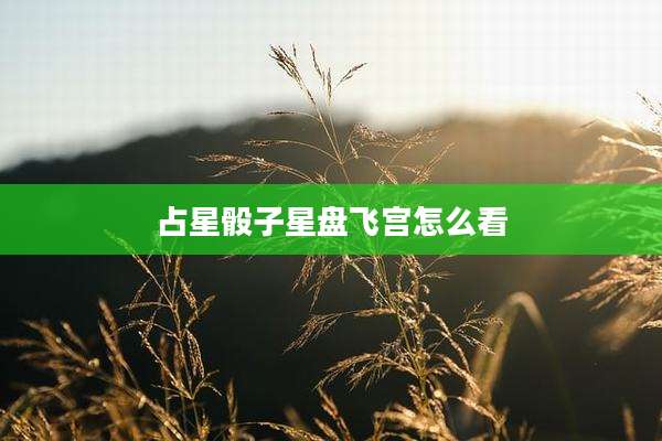 占星骰子星盘飞宫怎么看